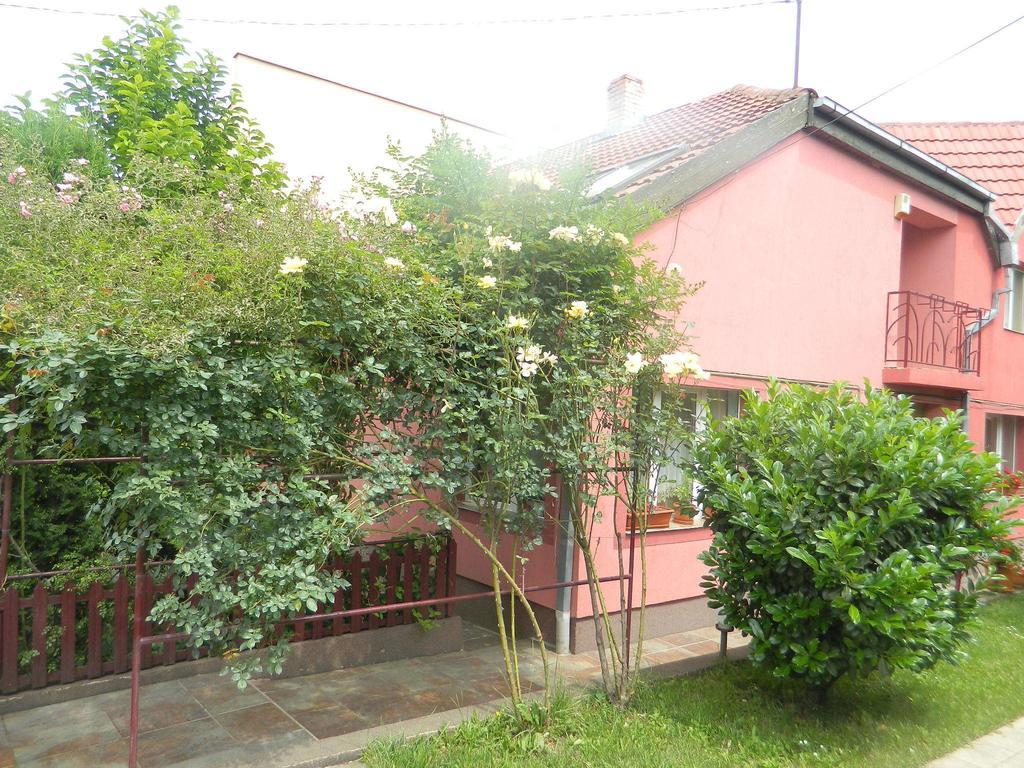 Cazare Vio Hotel Клуж-Напока Екстериор снимка